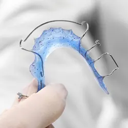 Faux palais - Appareil amovible